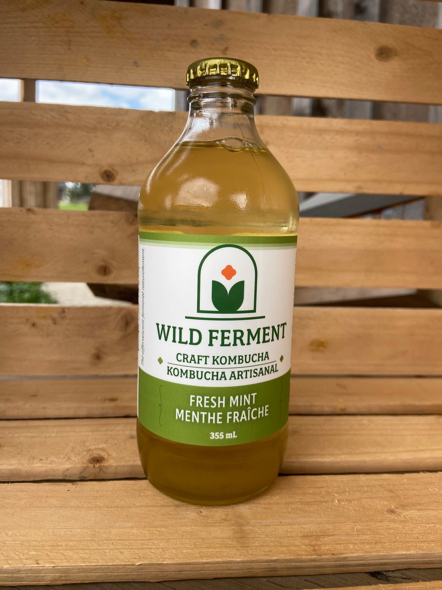 Kombucha artisanal à la menthe fraîche | Ferme Rêveuse