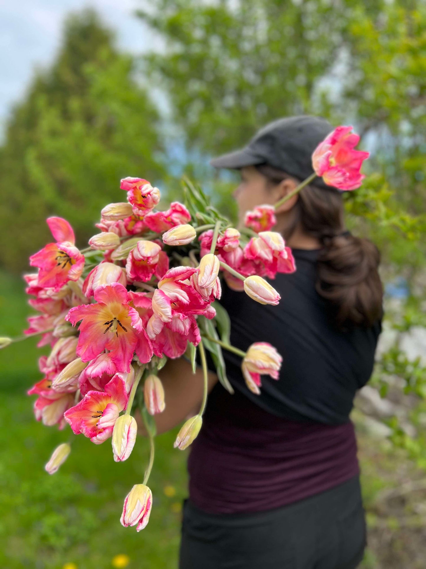 Bouquet de tulipes fraîches – Vert Sauge