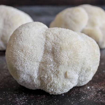 Crinière de lion – 225 g