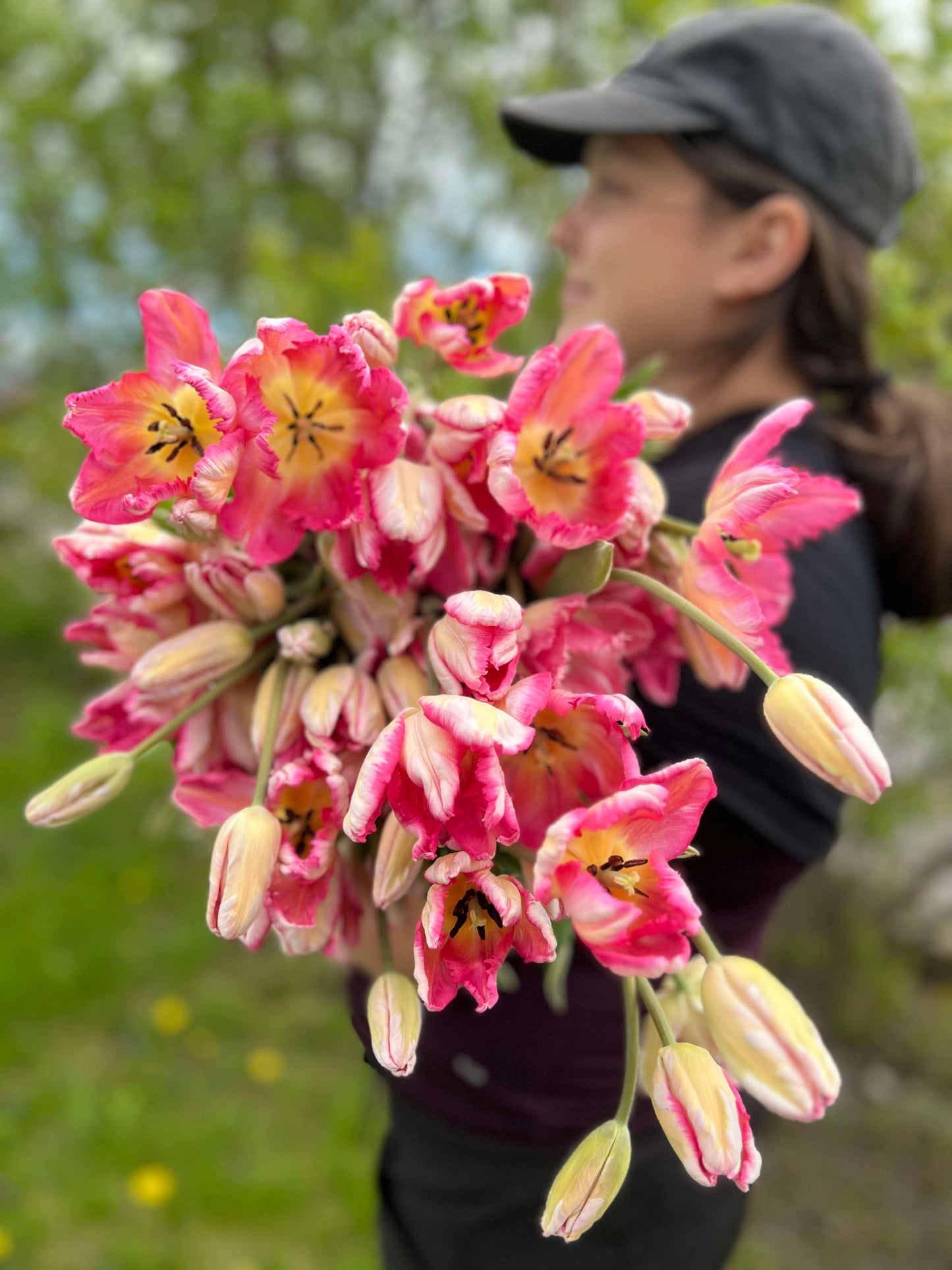 Bouquet de tulipes fraîches – Vert Sauge
