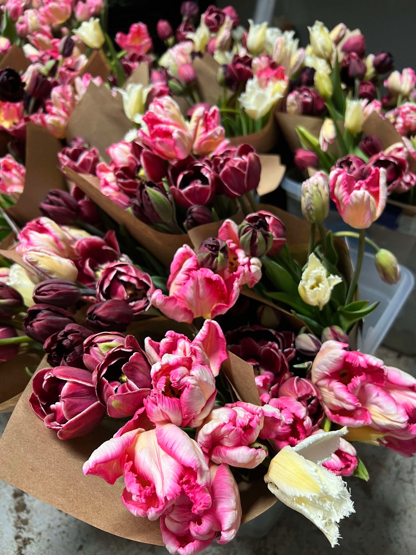 Bouquet de tulipes fraîches – Vert Sauge