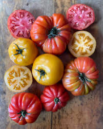 Tomates ancestrales jaunes