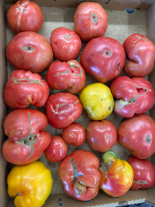 12 lb de tomates pour les sauces et salsa