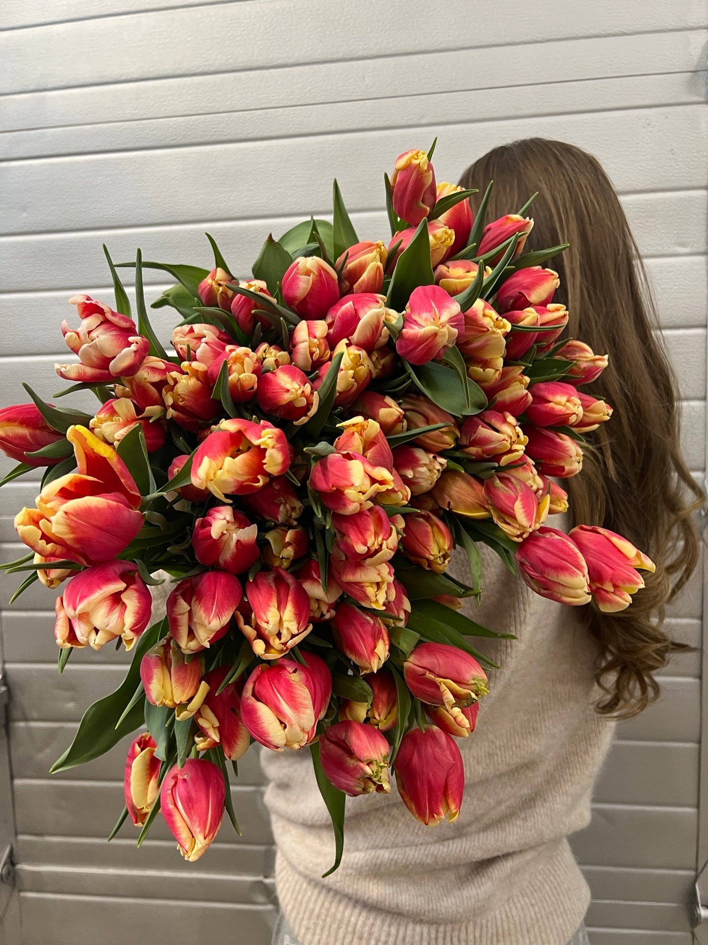 Bouquet de tulipes fraîches – Vert Sauge