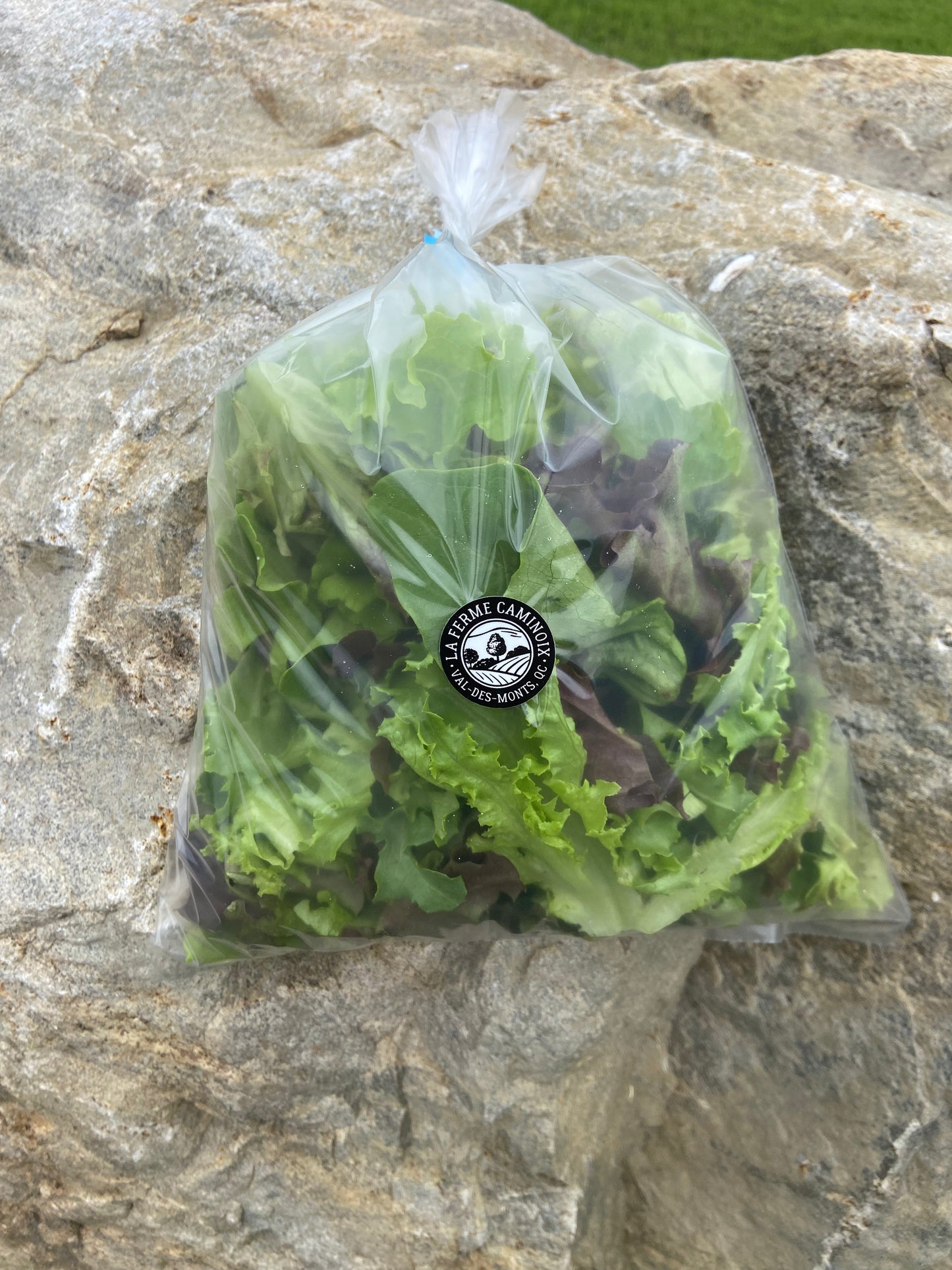 Mesclun 250g