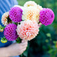 Abonnement aux bouquets de fleurs locales – Ferme florale Vert Sauge