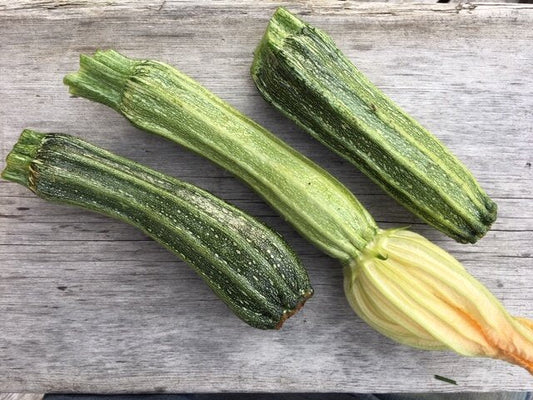 Zucchini (Costata Romanesco)
