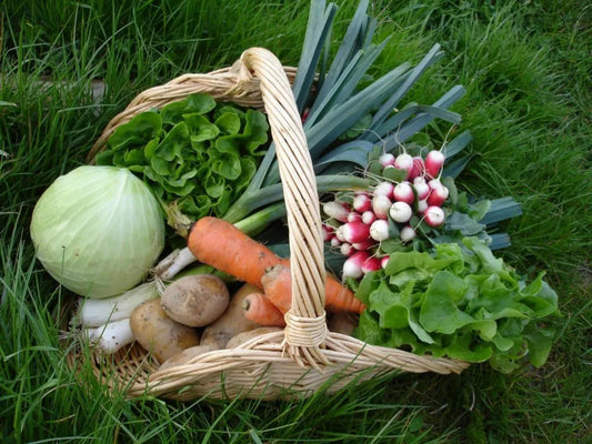 Summer and fall baskets and fresh eggs every two weeks - June 19 to December 16