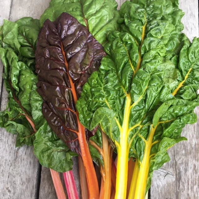 Organic Swiss chard