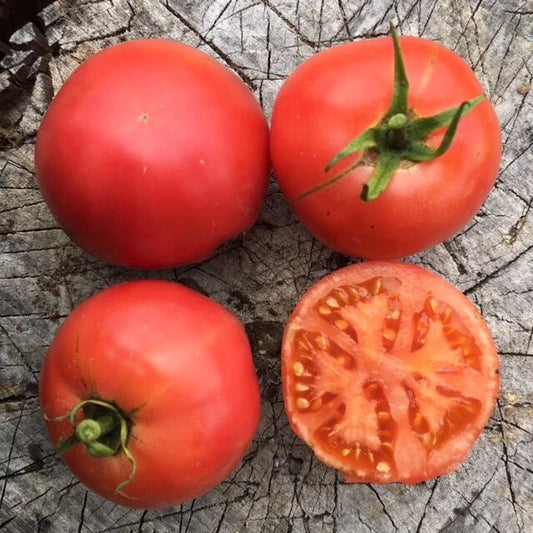 Tomate rouge