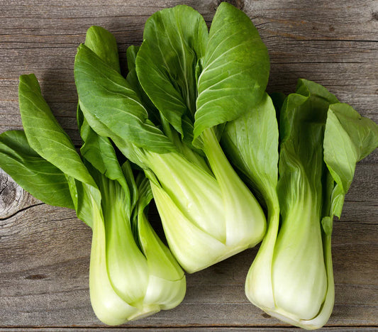 Bok choi biologique